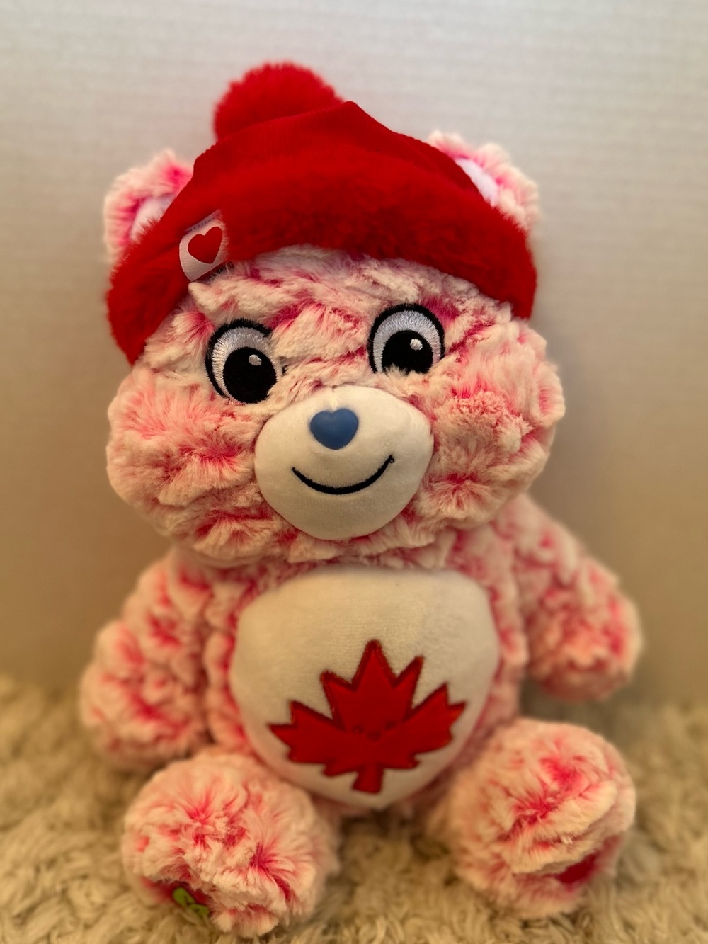 Care Bears True North 2025 bear